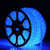 AC 120v 100m rouleau 1/2 "lumières décoratives Luz lumières LED décoratives guirlande corde extérieure multicolore Duralight