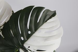 <span class=keywords><strong>Plante</strong></span> Monstera Artificielle 110cm Faux <span class=keywords><strong>Albo</strong></span> Monstera <span class=keywords><strong>Plante</strong></span> d'Intérieur dans un Pot en Plastique Noir pour la Décoration de la Maison et du Bureau - Product Image 2