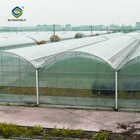 Serre en film |   Structure de cadre de serre |   Grande serre en plastique multi-voûtes pour plantes
