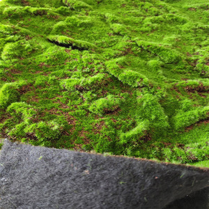 ELSY-12 <span class=keywords><strong>creeper</strong></span> haie de buis vert feuilles mousse mur art plante artificielle panneaux <span class=keywords><strong>3d</strong></span> mousse herbe mur pour la décoration - Product Image 2