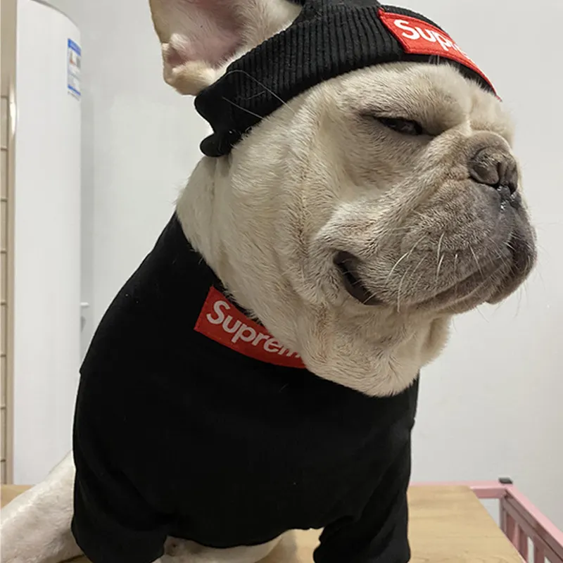 Vêtements pour chiens coton hiver moderne solide vêtements accessoires durable CN;HEB marque de mode concepteur couleur différente été