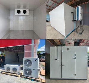 Equipo de Refrigeración <span class=keywords><strong>Pequeño</strong></span>, Cámara Frigorífica, Congelador, Cuarto Frío, Almacén Frigorífico - Product Image 5