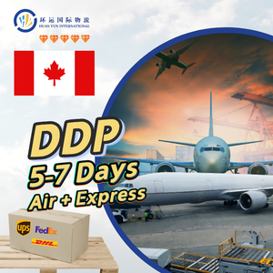 Agence de transport professionnelle/Logistique internationale/Expédition/Services d'expédition express vers USA Canada Europe Espagne <span class=keywords><strong>France</strong></span> - Product Image 1