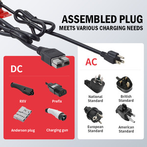 Batería Lifepo4 de 20A de cargador rápido IP65 aprobada por la CE para bicicleta eléctrica 48V 60V 72V 84V motocicleta carros de Golf E-Truck - Product Image 4