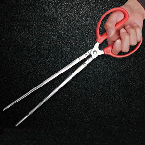Pince à anguilles en acier inoxydable en gros, pince à loches pour la pêche, ciseaux droits et courbés, attache pour loches, anguilles, crabes, poignée <span class=keywords><strong>de</strong></span> pêche - Product Image 3