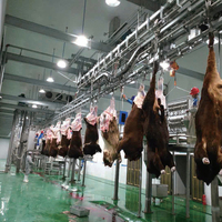 Ensemble d'équipements d'abattoir personnalisables pour l'abattage des bovins, des ovins et des porcs et la transformation de la viande Composants de moteur et de roulement