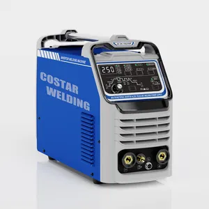 NEW patent 220V IGBT AC DC TIG250 PULSE MMA TIG WELDING MACHINE FOR ALUMINUM TIG250P ACDC