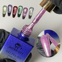 Vernis Gel Effet Œil de Chat Magnétique 3D UV LED Soak Off pour Usage Professionnel en Salon et Manucure Quotidienne