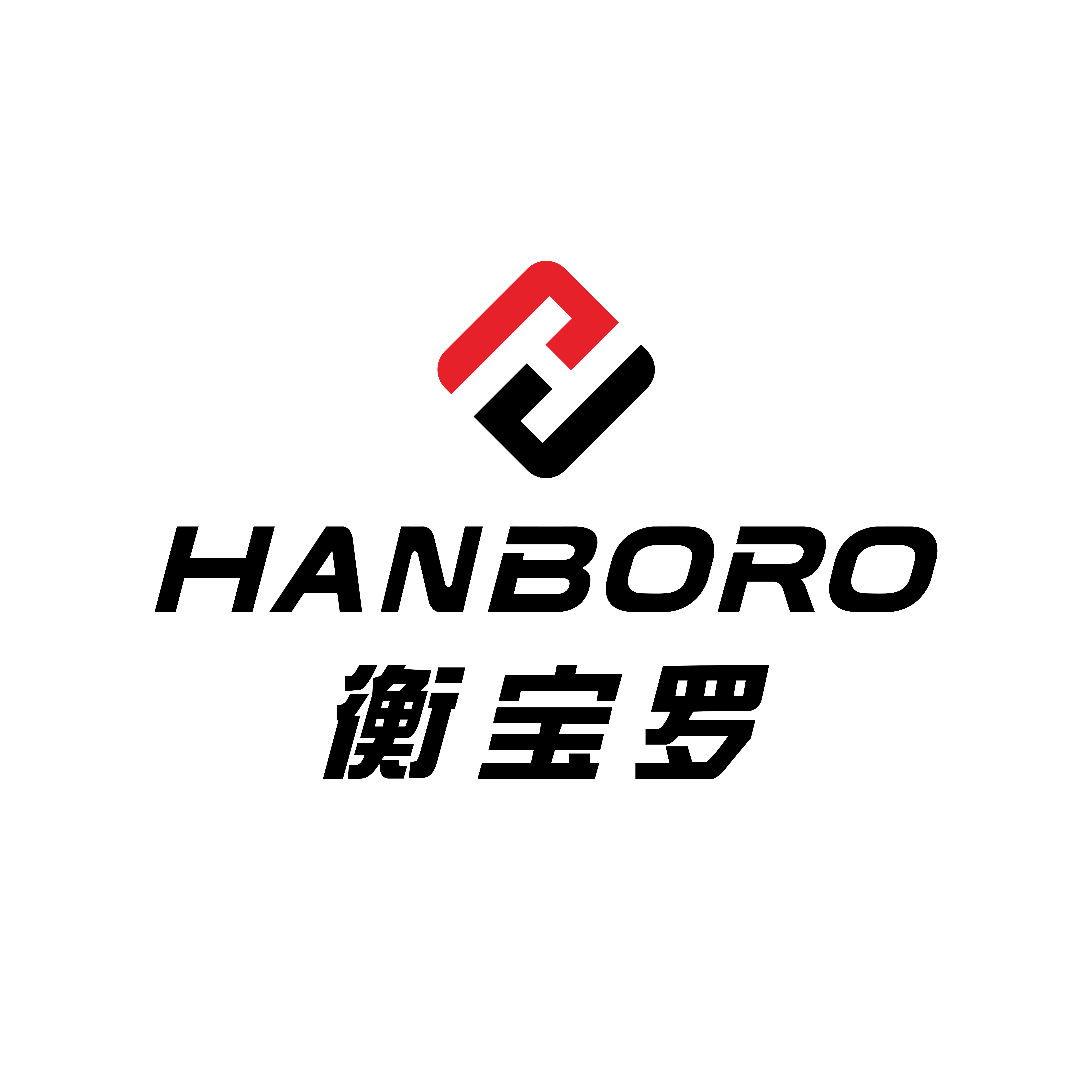 Guangzhou Hengbaoluo Technology Co., Ltd. logo