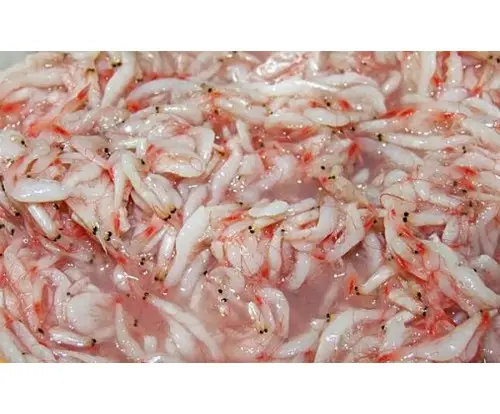 Salted Baby Shrimp/ high quality and best price Salted Baby Shrimp/ Ms. Lima +84 346565938