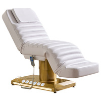 Meubles de salon haut de gamme modernes avec cadre pliable en acier inoxydable, lit de beauté électrique simple pour salon