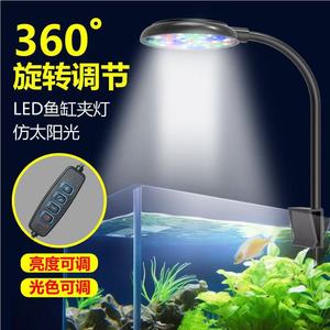 Lampada LED per Acquario Personalizzata OEM ODM, Interfaccia USB 3W, Cambio Colore e Dimmerabile, Luce WRGB per Piccoli Acquari - Product Image 4