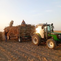 Traktor Mini 4WD Merek YTO 35-80HP Mesin Pertanian Peralatan Pembajakan Traktor Roda Diesel untuk Pertanian Mesin Inti