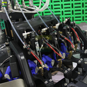 Cortador de Picos y Vacunador Láser Rotatorio para Pollitos de un Día |   Equipo de Procesamiento para Incubadoras de Granjas Avícolas Comerciales - Product Image 2