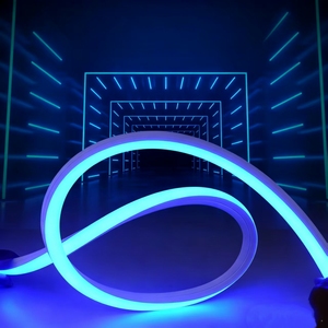 Tira de LED Azul Neón de 24V, Alta Luminosidad, 10x10mm, Cuerda de Silicona para Decoración de Piscinas, Jardines, Fachadas y Discotecas - Product Image 1