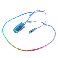 Lumière LED pour chaussures, bande LED magique couleur RGB, alimentée par batterie rechargeable USB, adressable numériquement