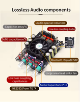 Versión Mejorada XY-T3002P, Módulo de Placa Amplificadora Digital BT de 300W * 2, Ajuste de Frecuencia Alta y Baja, TPA3255 T3002P