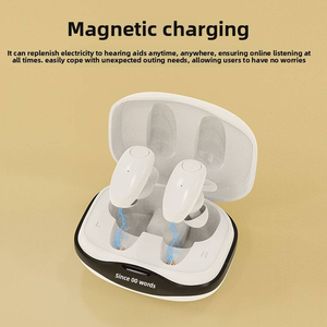 Vente en gros BestNews TS615D-32 binaural 32 canaux pour prothèses auditives réduction du bruit haute qualité à faible coût Rechargeable 1 - Product Image 5