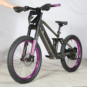 Vélo Électrique d'Équilibre Personnalisé de Course 24 Pouces 48V 15Ah 1500W Grande Puissance Moteur 70Km/h pour Enfants, Jeunes et Adolescents - Product Image 2