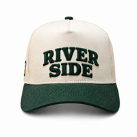 Casquette de baseball brodée personnalisée, bicolore beige et vert, broderie 3D en relief, coton, 6 panneaux, réglable, casquette de sport, golf, unisexe