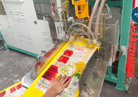 Machine d'ensachage de riz pour sacs tissés de 5 à 25 kg |   Équipement de pesage et d'ensachage semi-automatique |   Machine d'emballage multifonctionnelle