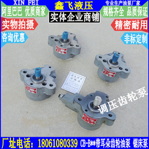 Pompe à huile pour engrenages CBW-2.54610 avec pattes, entraînement électrique, pompe à eau pour scies, huiles différentielles LRBXDR7TCBWWC - Product Image 3