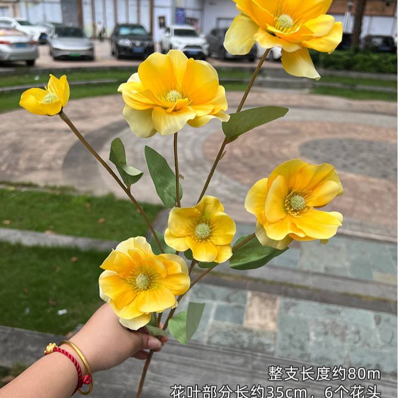 6Head Pansy special offer Yellow