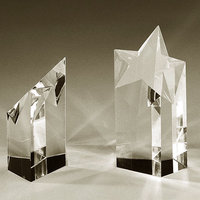 Trophée étoile en cristal pour la réussite des partenariats et les réalisations collaboratives
