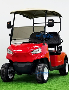 Carrito de Golf Eléctrico de 2 Plazas, Color Personalizable, Mini Buggy de Bajo Ruido, Radio de Giro Pequeño, para Zonas Turísticas y Resorts - Product Image 5