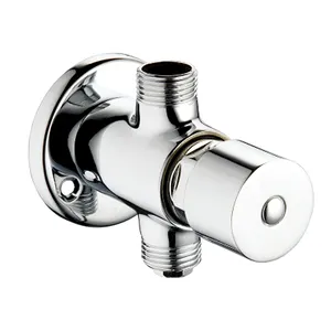 Factory direct price high quality time delay single cold shower valve