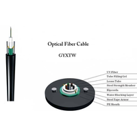 Factory Direct GYXTW Armored Fiber Cable 4-24 Core Single Mode Central Tube Steel Wire Reinforced OEM Length Available