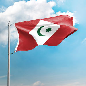 Werbe-Maßanfertigung Innen- und Außendekoration Banner Polyester-Stoff Nationalflagge Republik Rif 3x5FT Flaggen - Product Image 2