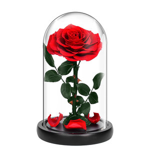 Vendita all'ingrosso regalo di lusso Junio personalizzazione regalo di natale che dà conservato la rosa nella bellezza di vetro e la bestia - Product Image 2