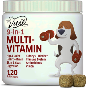 علاج للكلاب OEM-مكملات مضغ ناعمة متعددة الفيتامينات إنزيمات هضمية بروبيوتيك لطبقة الجلد جهاز المناعة الصحة العامة - Product Image 5