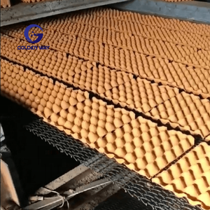 En çok satan yumurta tepsisi Metal dengeli paslanmaz çelik tel Mesh zincir bağlantı konveyör bant makineleri için - Product Image 6