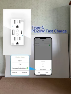 Tuya <strong>Wifi</strong> US Standard Power <strong>Smart</strong> Wall Sockets Home Electrical 110-250V 15A PD20W 2 AC Outlets <strong>Plugs</strong> &amp; Sockets - Product Image 4