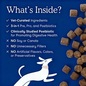 Probiotiques pour chiens OEM ODM Private Label avec prébiotiques favorisant un microbiome intestinal équilibré - Renforce la santé immunitaire - Friandises à mâcher molles - Product Image 2