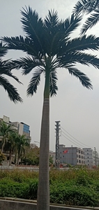 <span class=keywords><strong>Palmera</strong></span> de coco artificial gigante grande personalizada de alta calidad de fábrica, <span class=keywords><strong>palmera</strong></span> artificial de Coco para <span class=keywords><strong>playa</strong></span> al aire libre - Product Image 2
