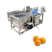 Machine automatique de nettoyage des fruits et légumes à l'ozone, laveuse à bulles vibrante, équipement de lavage par vortex pour la transformation commerciale
