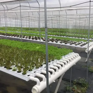 GRO-DRO 118*50mm pvc nft canale all'aperto idroponico sistemi di coltivazione per la casa