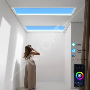 Tuya 스마트 홈 침실 벽 led 패널 하늘 자연 일광 푸른 하늘 조명 인공 가상 스카이 라이트
