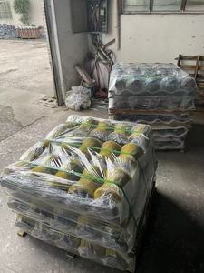 Hitachi máy xúc ex40 ex55 <span class=keywords><strong>ex60</strong></span> ex70 ex75 EX100 ex120 ex130 bánh xe theo dõi con lăn cho Hitachi ex120 máy xúc theo dõi con lăn - Product Image 5