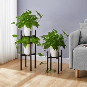 حامل عرض طويل القامة حديث قابل للتعديل منظمي زهور رف نباتات حديد للأماكن المغلقة شرفة نباتات معدنية للقرن - Product Image 6