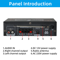 Amplificateur de puissance AV-308Bound Zhengying KTV Ser Mini HiFi stéréo classe D Audio avec aigus basses Options d'alimentation 12V/220V
