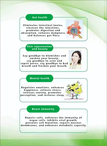 Probiotiques liquides de fermentation populaires OME - Soutien métabolique intestinal, élimination des toxines intestinales, équilibre de la <span class=keywords><strong>flore</strong></span> et renforcement de l'immunité - Product Image 5