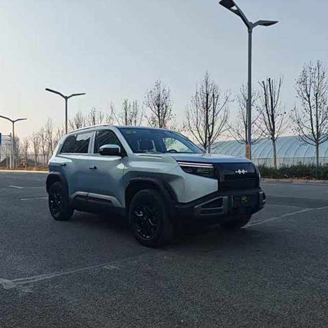 2025 BYD Leopard 3 EV 50km Low Mileage 501km Range LHD Brand-New Condition High-Performance 310kW Electric SUV 90-110kWh Battery