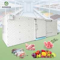Chambre froide industrielle en conteneurs de 24 pieds pour le stockage de poissons frais et de produits alimentaires, équipement de congélation pour conteneurs de 10 pieds