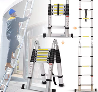 Échelle télescopique pliable en alliage d'aluminium haute résistance, marches antidérapantes, capacité de 150 kg, certifiée EN 131, multi-usages pour la maison