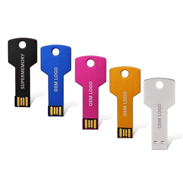 Supplier Metal Bulk Cheap Mini USB Flash Drive Customized Logo Pendrive 2GB to 128GB Thumb Drive USB 2.0 Key Shape USB Stick
