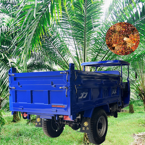 Triciclo de Gasolina con Cabina Cerrada - Product Image 1